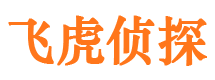 隆阳婚外情调查取证